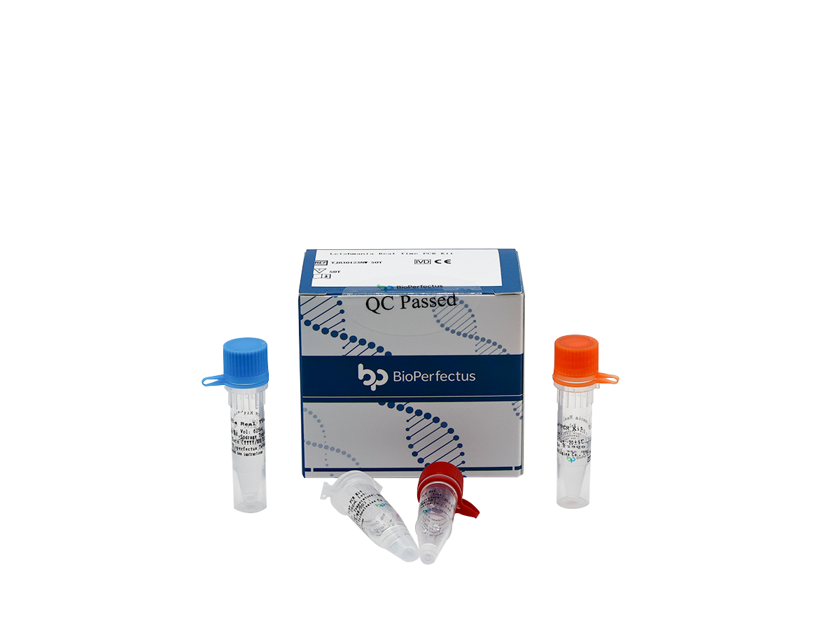 Leishmania Real Time PCR Kit