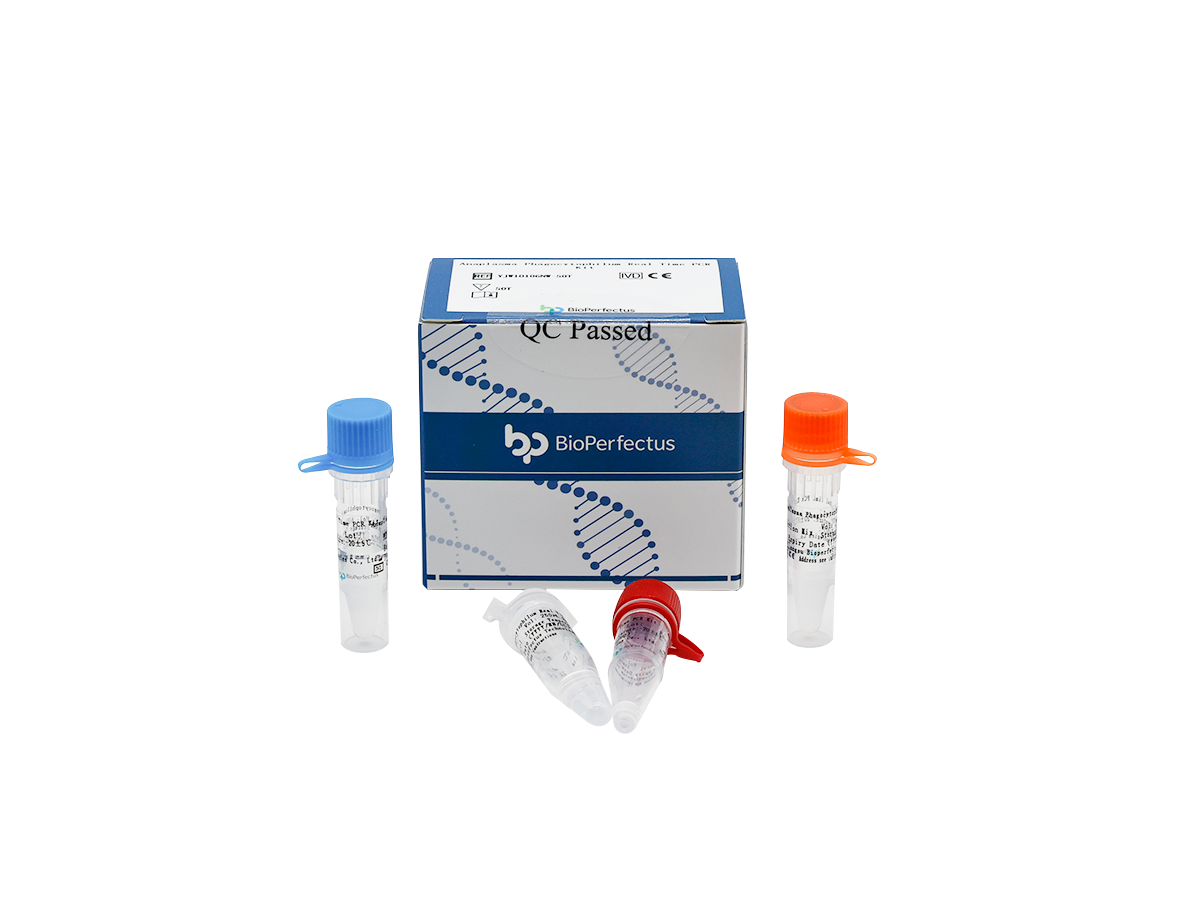 Anaplasma Phagocytophilum Real Time PCR Kit