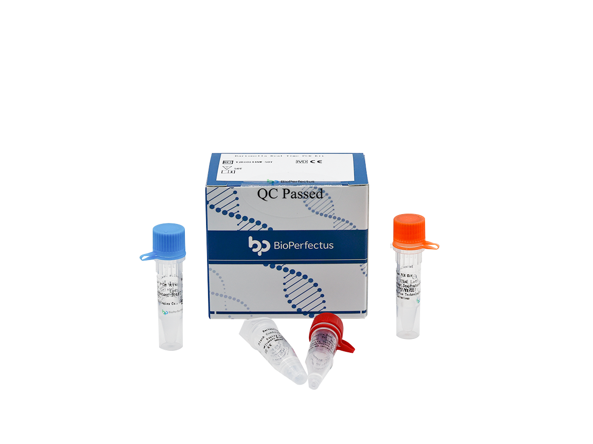 Bartonella Real Time PCR Kit - Bioservices