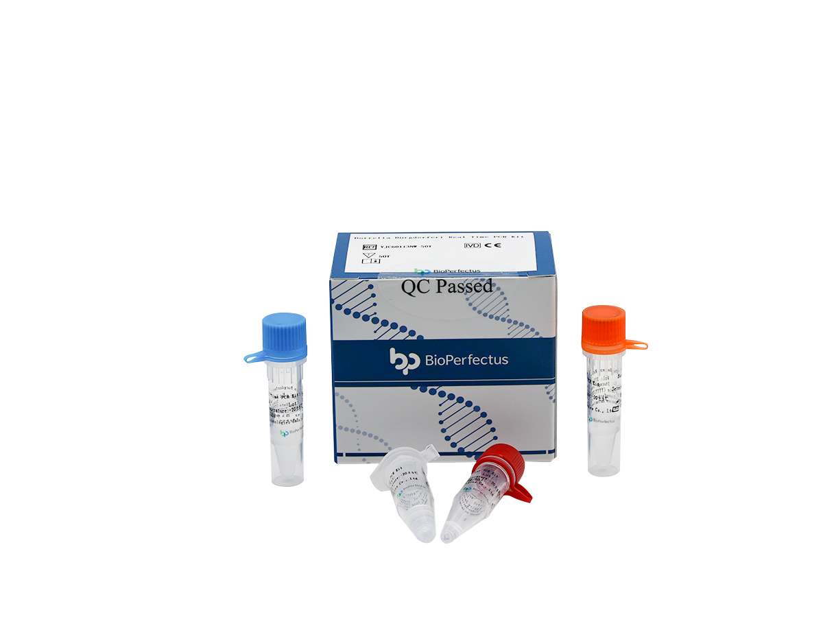 Borrelia Burgdorferi Real Time PCR Kit