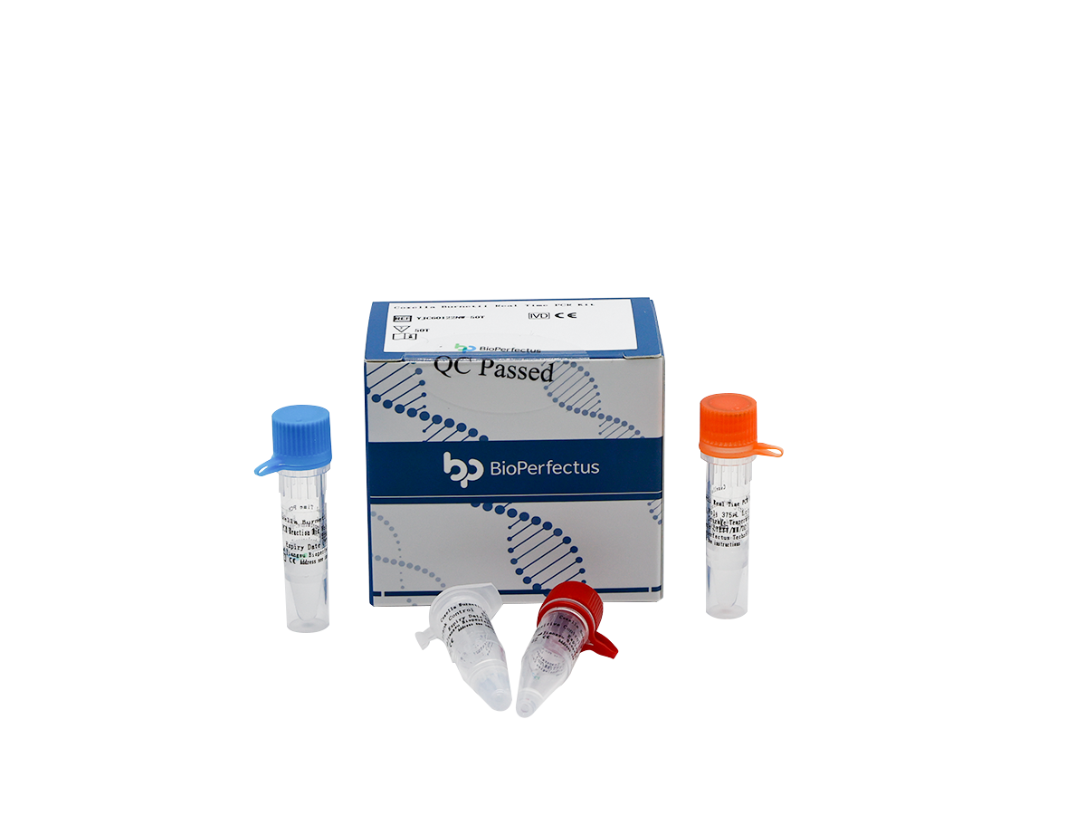 Coxiella Burnetii Real Time PCR Kit