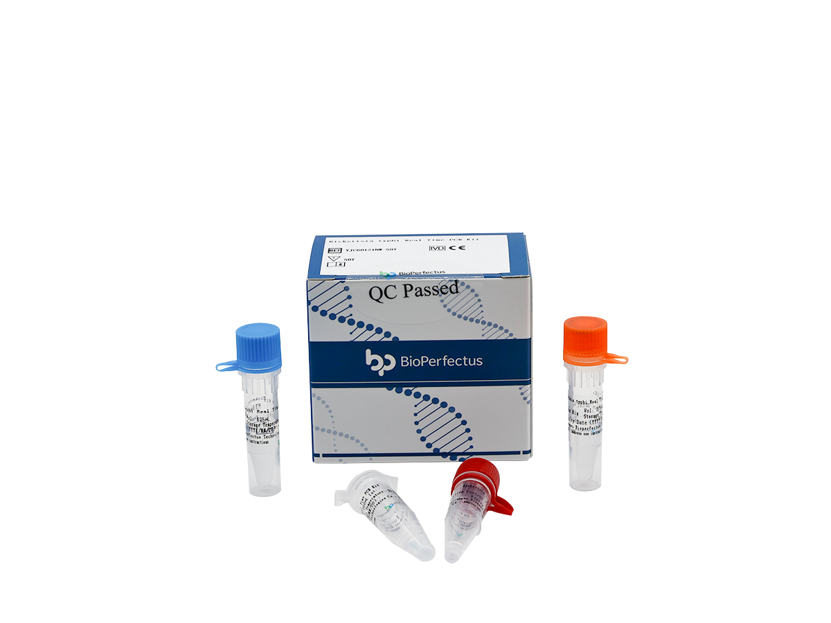 Rickettsia Typhi Real Time PCR Kit