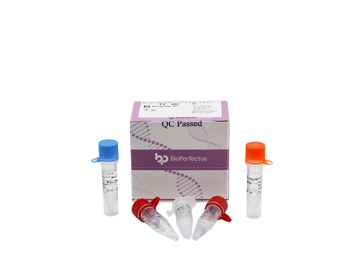 Mycoplasma Hominis Real Time PCR Kit - Bioservices