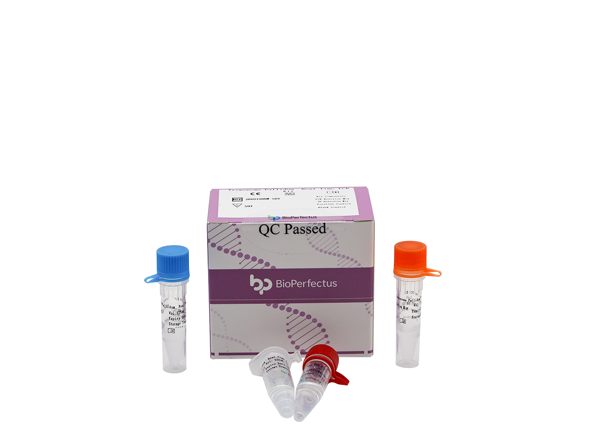 Treponema Pallidum Real Time PCR Kit