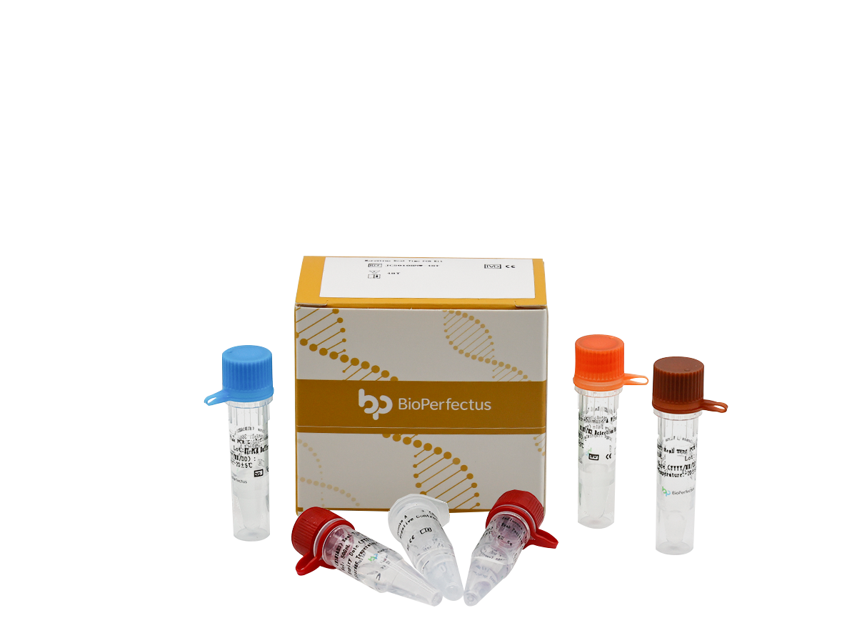 Norovirus Real Time PCR Kit