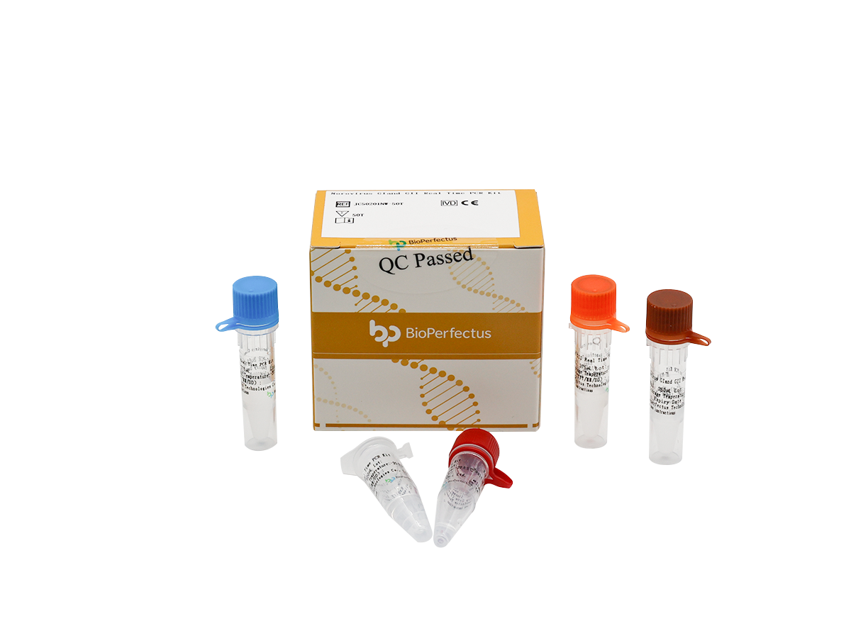 Norovirus GI and GII Real Time PCR Kit