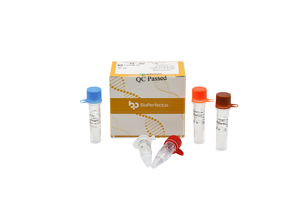 CoxA16 & EV71 Real Time PCR Kit