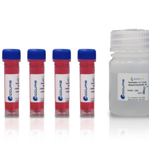 Sanger sequencing