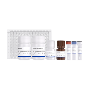Vazyme Reagent